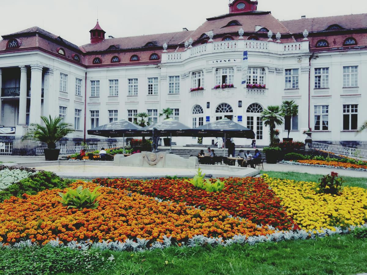 Apartment Alice Center Karlovy Vary Exterior photo